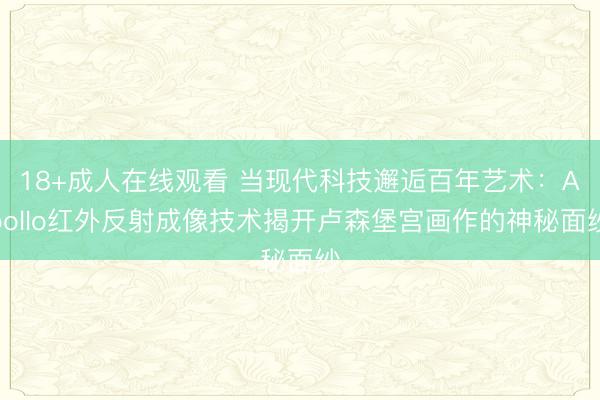18+成人在线观看 当现代科技邂逅百年艺术：Apollo红外反射成像技术揭开卢森堡宫画作的神秘面纱