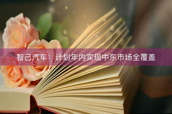 智己汽车：计划年内实现中东市场全覆盖