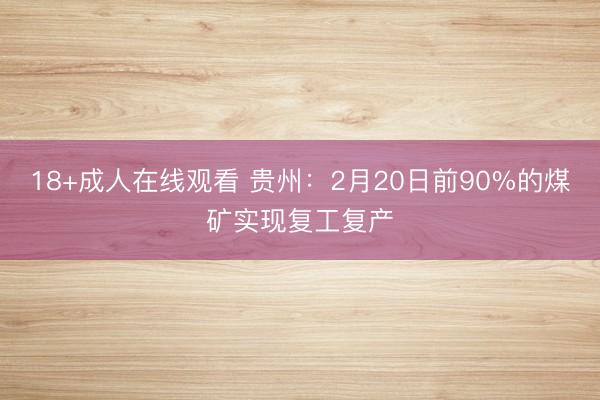 18+成人在线观看 贵州：2月20日前90%的煤矿实现复工复产
