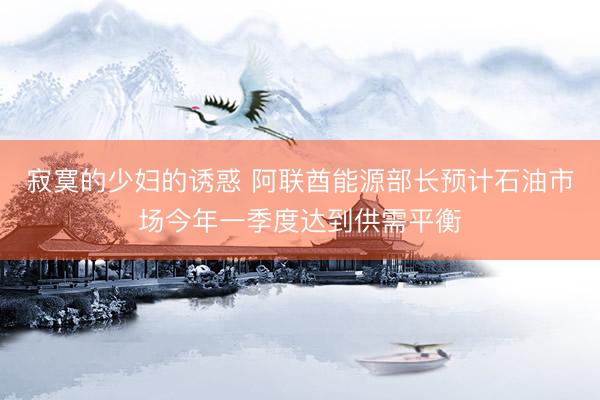 寂寞的少妇的诱惑 阿联酋能源部长预计石油市场今年一季度达到供需平衡