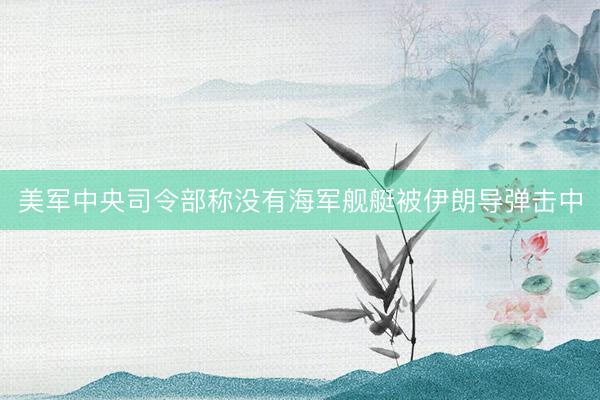 美军中央司令部称没有海军舰艇被伊朗导弹击中