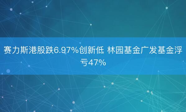 赛力斯港股跌6.97%创新低 林园基金广发基金浮亏47%