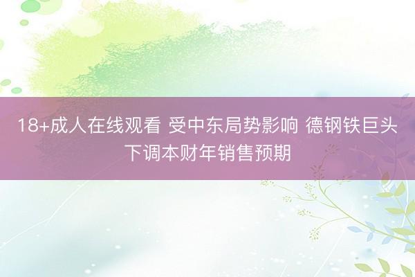 18+成人在线观看 受中东局势影响 德钢铁巨头下调本财年销售预期