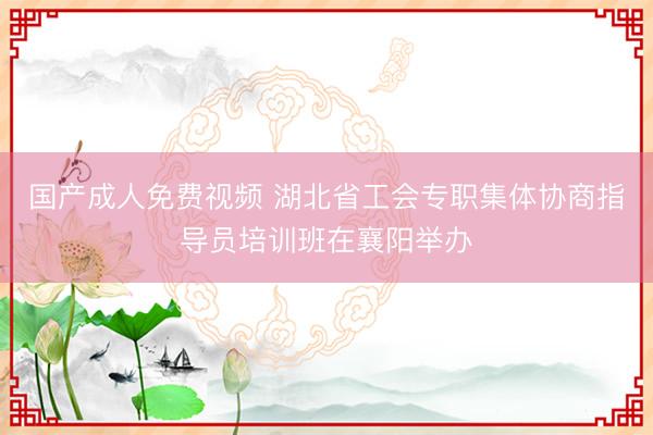 国产成人免费视频 湖北省工会专职集体协商指导员培训班在襄阳举办