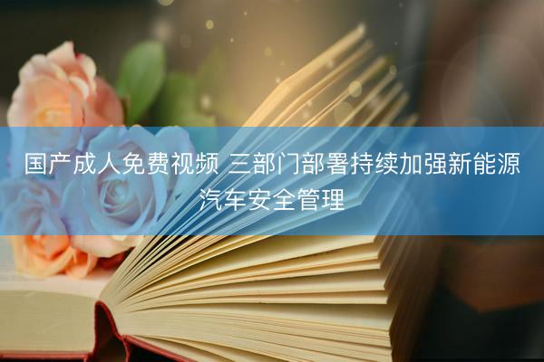 国产成人免费视频 三部门部署持续加强新能源汽车安全管理