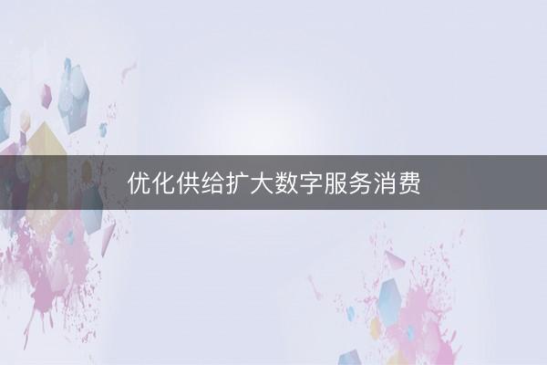优化供给扩大数字服务消费