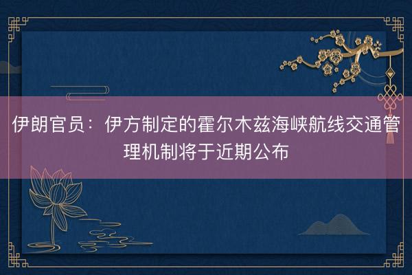 伊朗官员：伊方制定的霍尔木兹海峡航线交通管理机制将于近期公布
