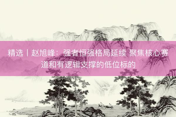 精选丨赵旭峰：强者恒强格局延续 聚焦核心赛道和有逻辑支撑的低位标的