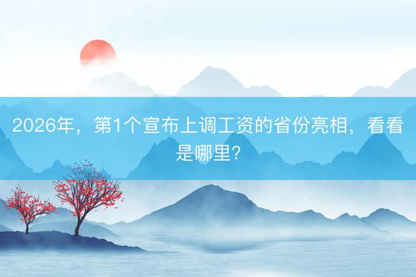 2026年，第1个宣布上调工资的省份亮相，看看是哪里？