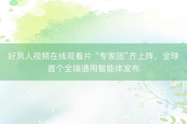 好男人视频在线观看片 “专家团”齐上阵，全球首个全端通用智能体发布