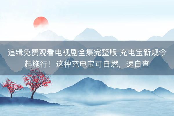 追缉免费观看电视剧全集完整版 充电宝新规今起施行！这种充电宝可自燃，速自查