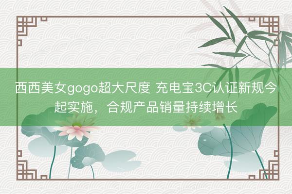 西西美女gogo超大尺度 充电宝3C认证新规今起实施,合规产品销量持续增长
