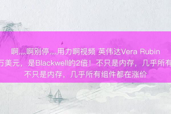 啊灬啊别停灬用力啊视频 英伟达Vera Rubin机架售价780万美元，是Blackwell的2倍！不只是内存，几乎所有组件都在涨价