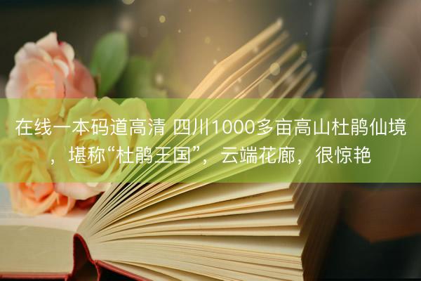 在线一本码道高清 四川1000多亩高山杜鹃仙境,堪称“杜鹃王国”,云端花廊,很惊艳