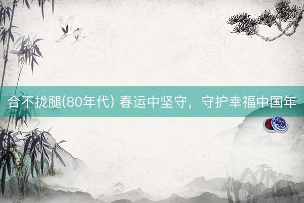 合不拢腿(80年代) 春运中坚守，守护幸福中国年