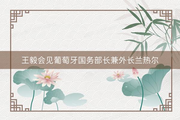 王毅会见葡萄牙国务部长兼外长兰热尔