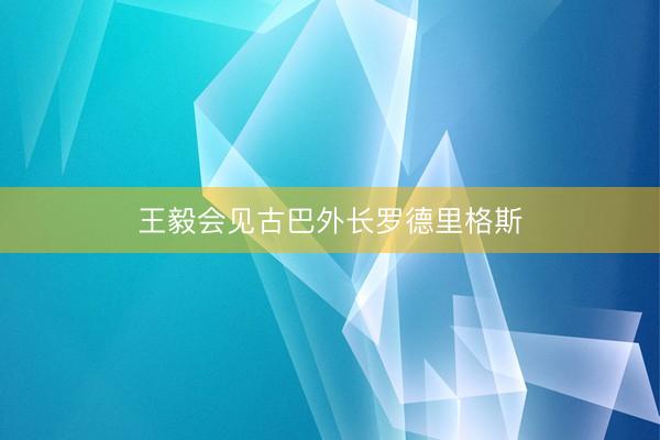 王毅会见古巴外长罗德里格斯