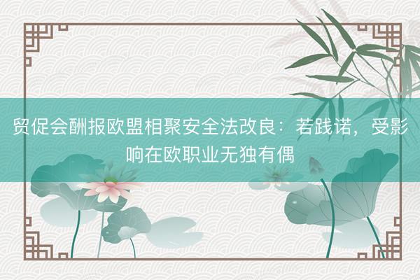 贸促会酬报欧盟相聚安全法改良：若践诺，受影响在欧职业无独有偶