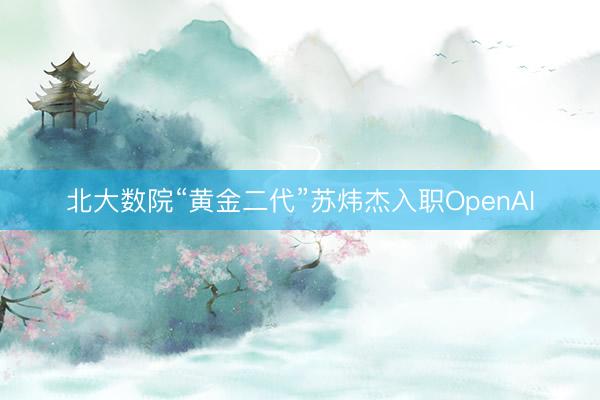 北大数院“黄金二代”苏炜杰入职OpenAI