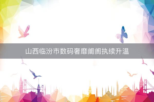 山西临汾市数码奢靡阛阓执续升温
