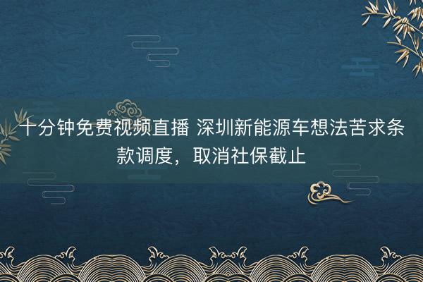 十分钟免费视频直播 深圳新能源车想法苦求条款调度，取消社保截止