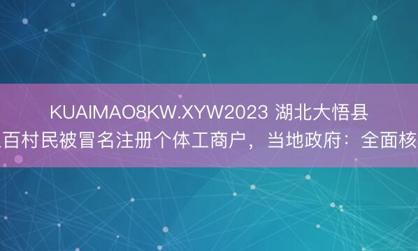 KUAIMAO8KW.XYW2023 湖北大悟县上百村民被冒名注册个体工商户，当地政府：全面核查