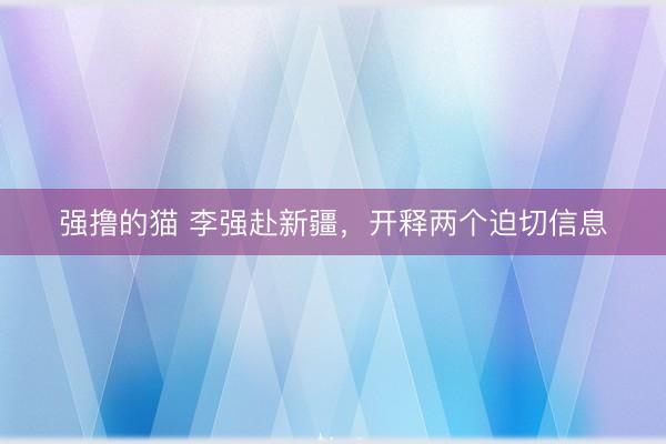 强撸的猫 李强赴新疆，开释两个迫切信息