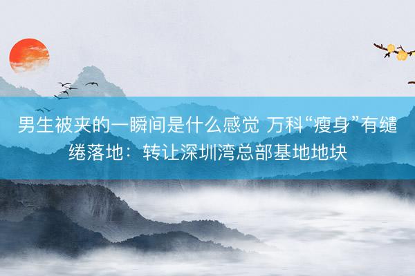 男生被夹的一瞬间是什么感觉 万科“瘦身”有缱绻落地：转让深圳湾总部基地地块