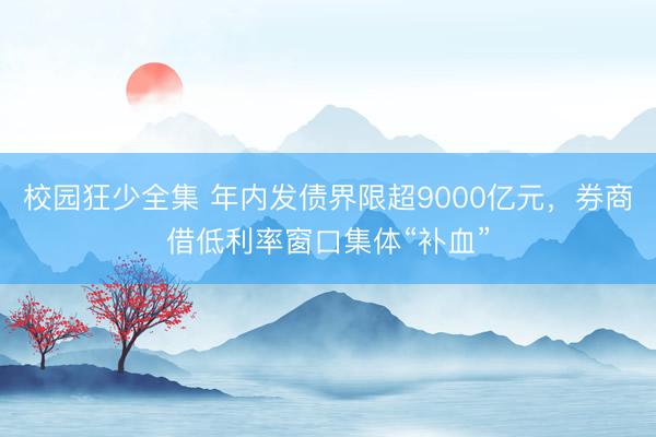 校园狂少全集 年内发债界限超9000亿元，券商借低利率窗口集体“补血”