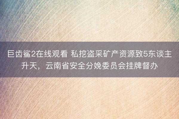 巨齿鲨2在线观看 私挖盗采矿产资源致5东谈主升天，云南省安全分娩委员会挂牌督办