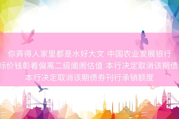 你弄得人家里都是水好大文 中国农业发展银行：7年期债券中标价钱彰着偏离二级阛阓估值 本行决定取消该期债券刊行承销额度
