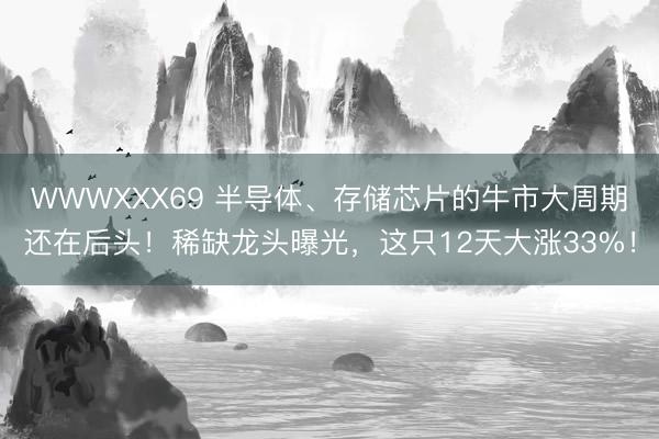 WWWXXX69 半导体、存储芯片的牛市大周期还在后头！稀缺龙头曝光，这只12天大涨33%！