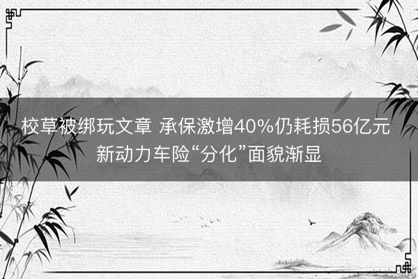 校草被绑玩文章 承保激增40%仍耗损56亿元 新动力车险“分化”面貌渐显