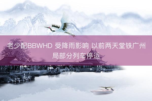 老少配BBWHD 受降雨影响 以前两天堂铁广州局部分列车停运
