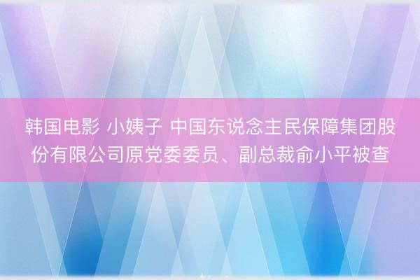 韩国电影 小姨子 中国东说念主民保障集团股份有限公司原党委委员、副总裁俞小平被查