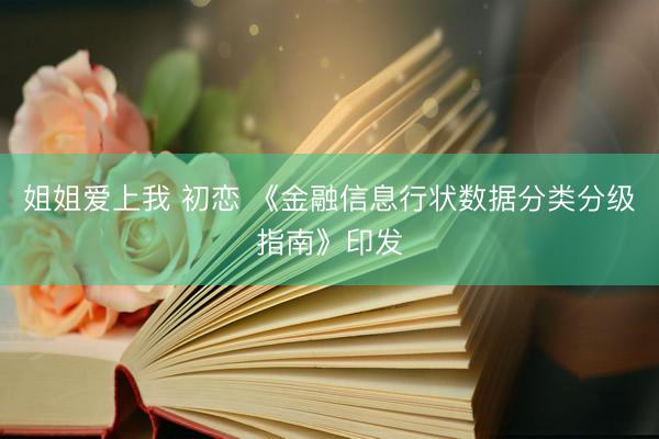 姐姐爱上我 初恋 《金融信息行状数据分类分级指南》印发