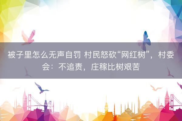 被子里怎么无声自罚 村民怒砍“网红树”，村委会：不追责，庄稼比树艰苦