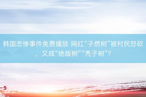 韩国悲惨事件免费播放 网红“孑然树”被村民怒砍，又成“绝版树”“秃子树”？