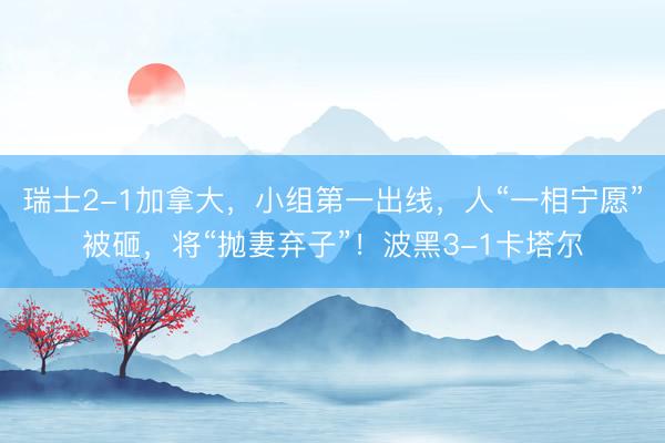 瑞士2-1加拿大，小组第一出线，人“一相宁愿”被砸，将“抛妻弃子”！波黑3-1卡塔尔