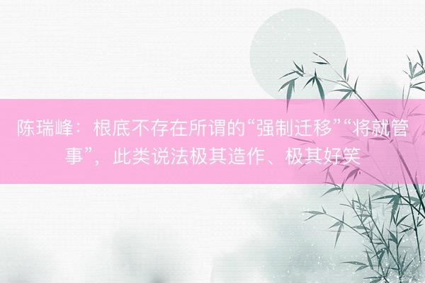 陈瑞峰：根底不存在所谓的“强制迁移”“将就管事”，此类说法极其造作、极其好笑
